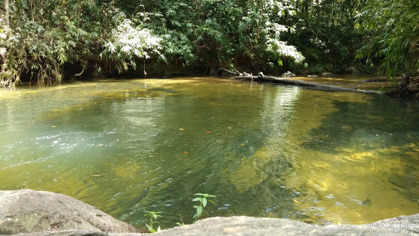 Elpitiya