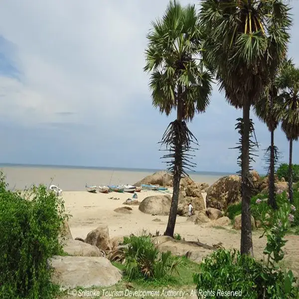 Arugam Bay