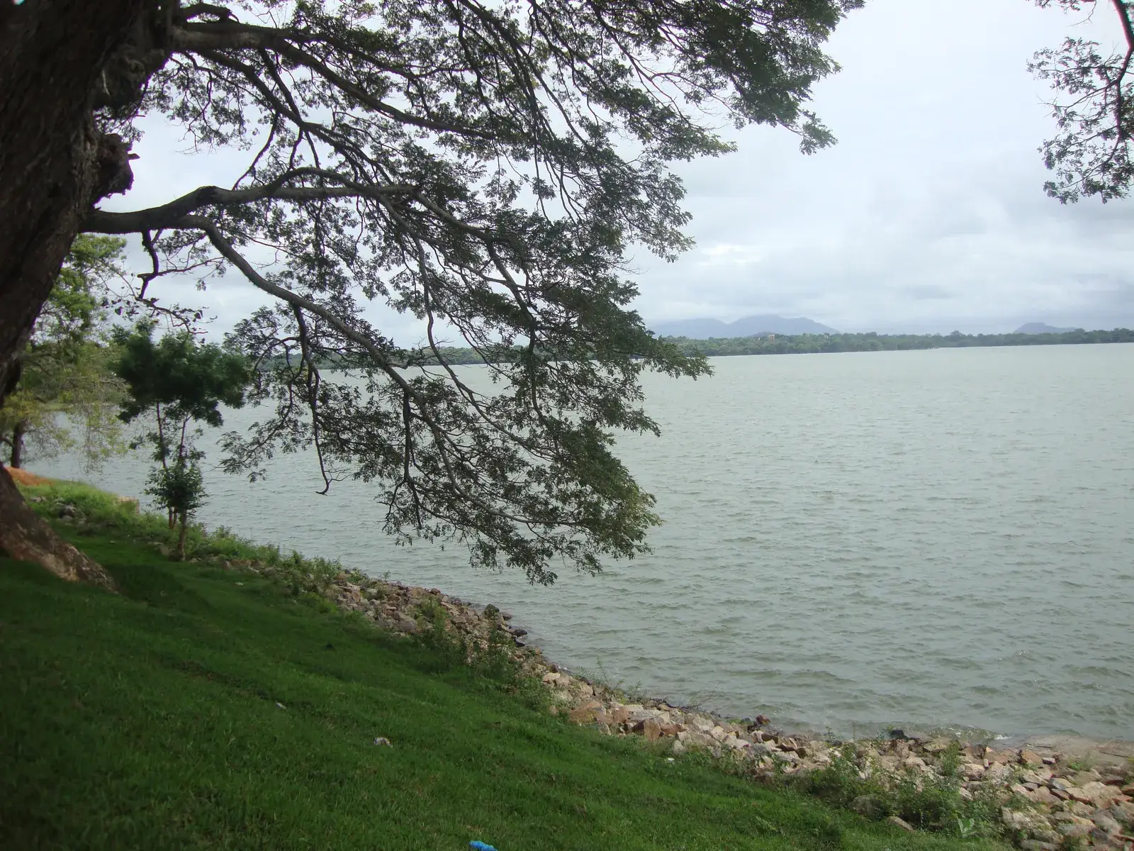 Anuradhapura District