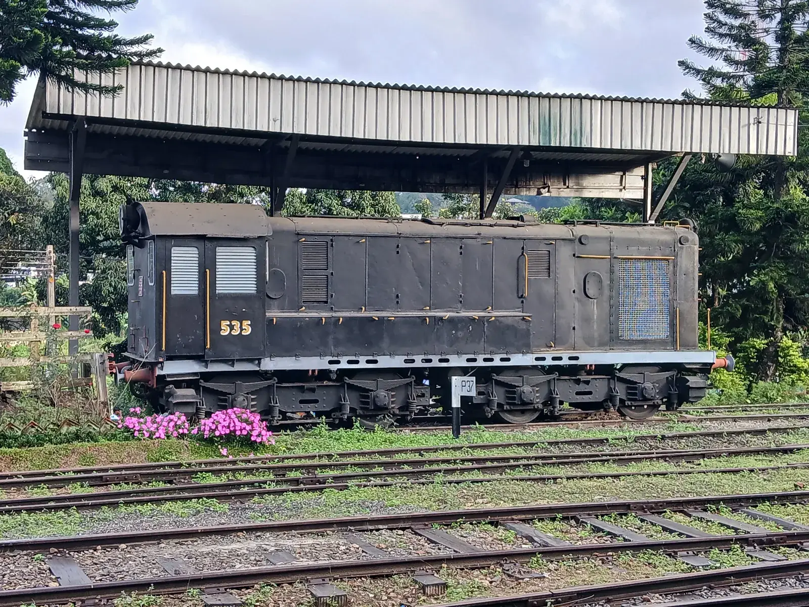 බණ්ඩාරවෙල