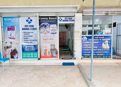 Pet Care Animal Clinic and Surgery in Giriulla