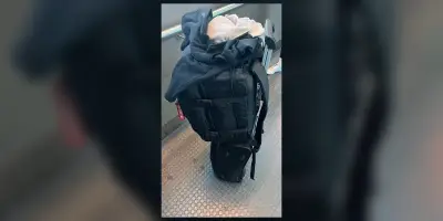 Traveler's black backpack with red tag — lost on train
